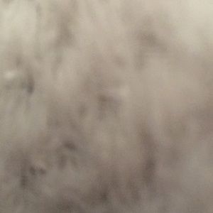 Meet your Posher, Clint